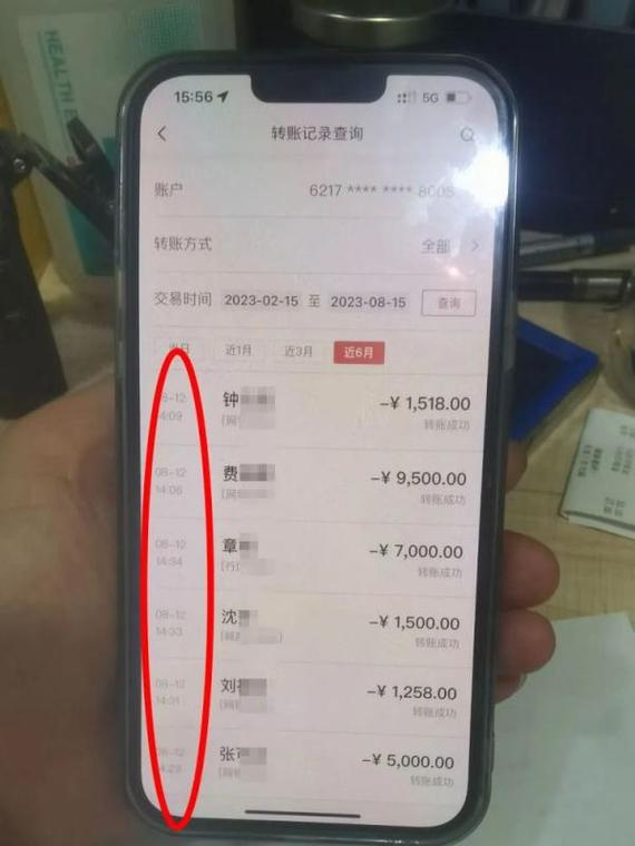 百色银行流水办理全攻略：从新手到老手的蜕变之路